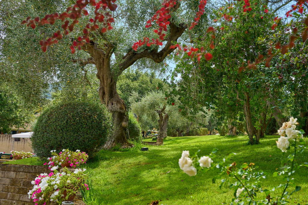 villaggio-oasi-maremma-scarlino2 svg+xml;charset=utf