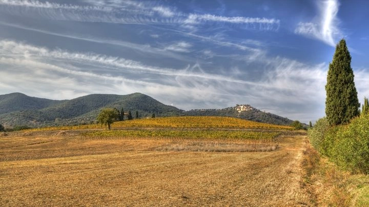 vetulonia toscana