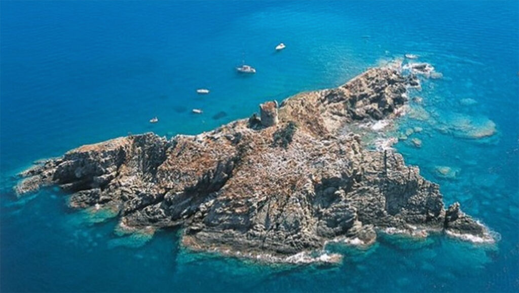 Local Beaches